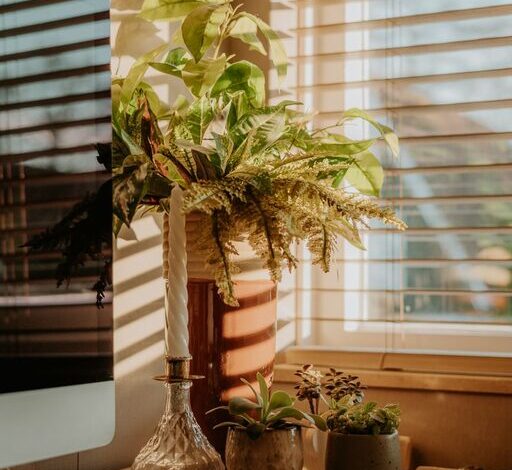 Tips for Creating a Cozy and Inviting Home Workspace